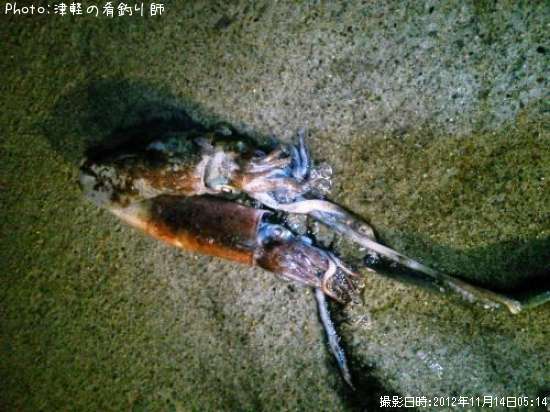 �����ꥤ��