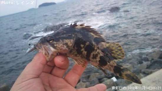 �������������Υ�