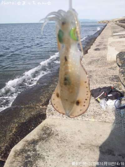 �����ꥤ��