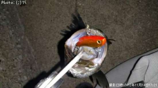 �����Ф�