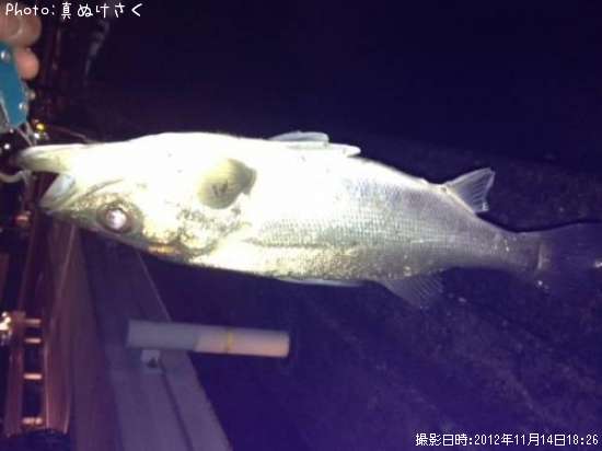 �����Х�