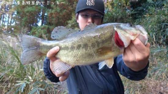 �֥�å��Х�