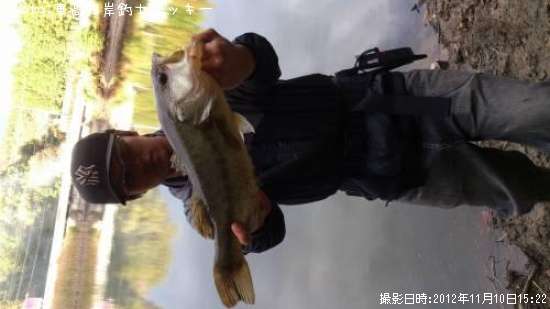 �֥�å��Х�