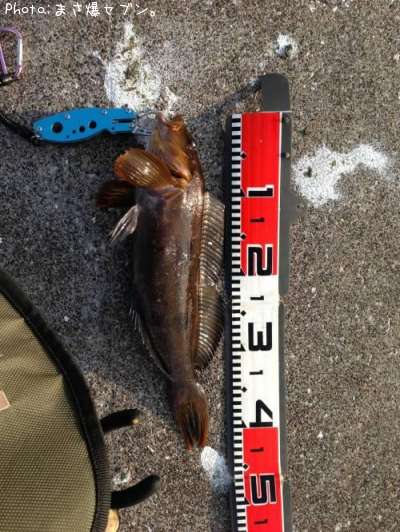 �����ʥ�