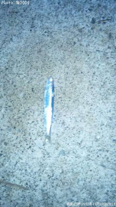 �����������亮