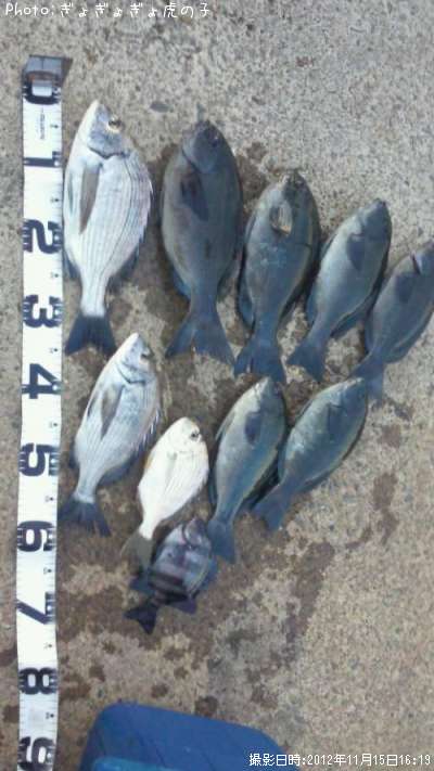 �����������᥸��