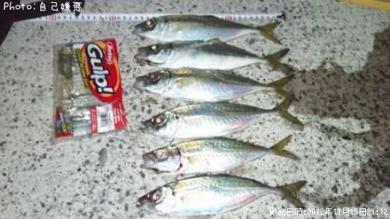 �����ߣ�