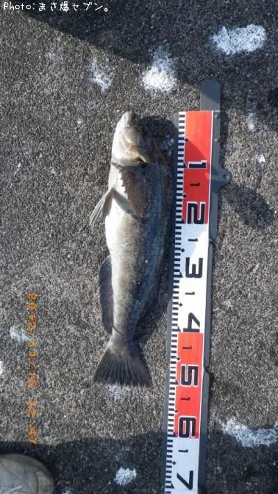 �����ʥ�