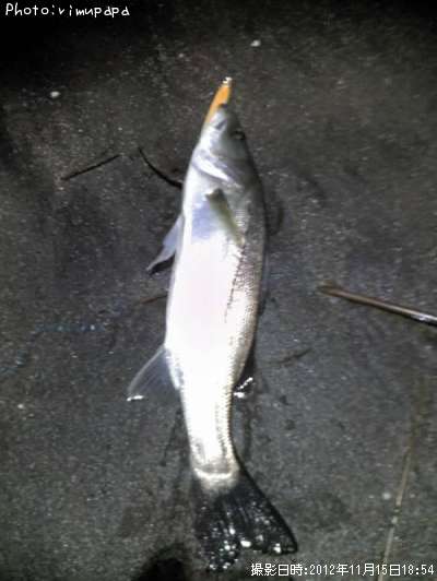 �����Х�