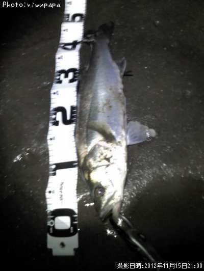 �����Х�