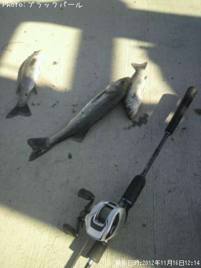 �����Х�