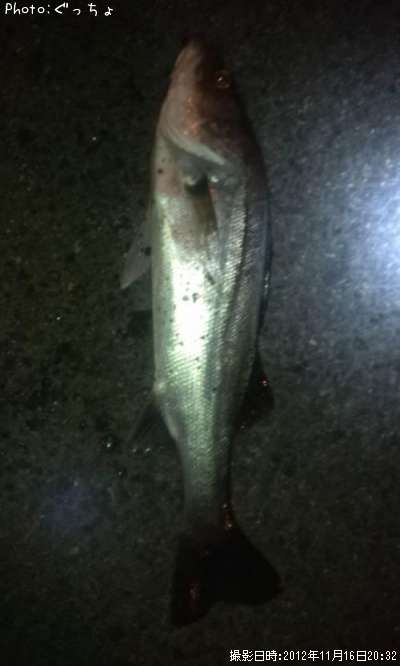 �����Х�