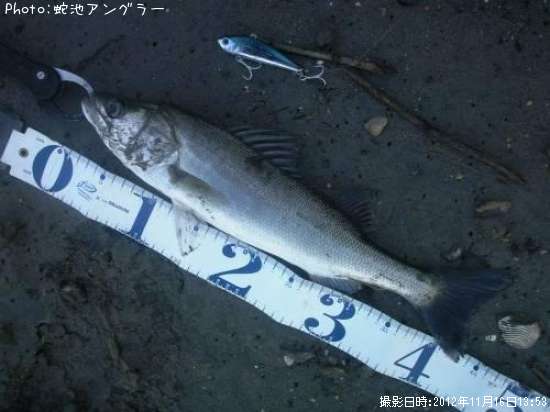 �����Х�