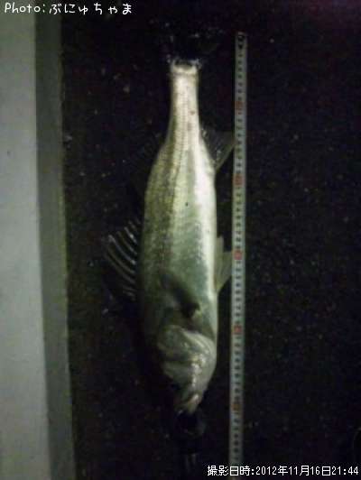 �����Х�