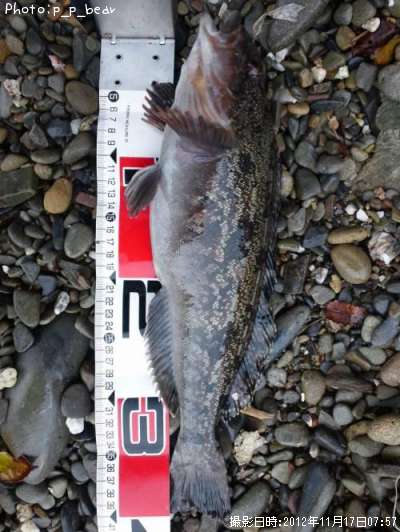 �����ʥ�