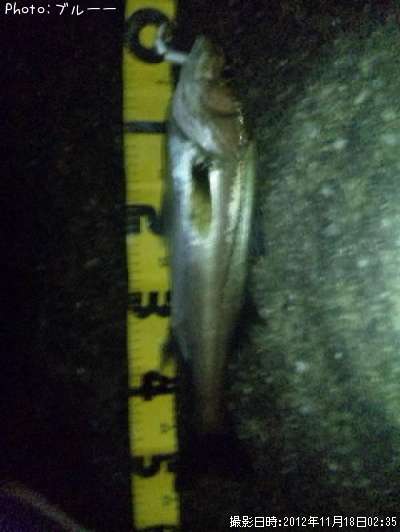 �����Х�