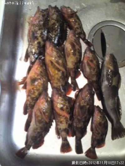 ������������ʥ�