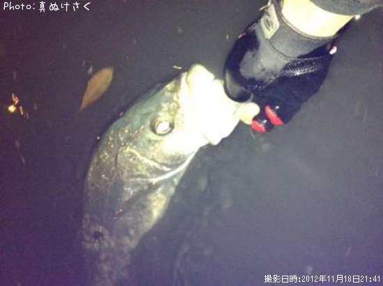 �����Х�