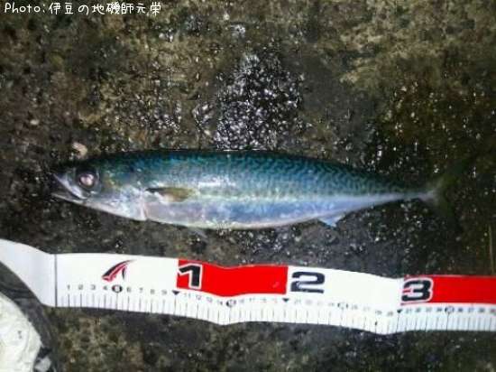 ���ޥ���