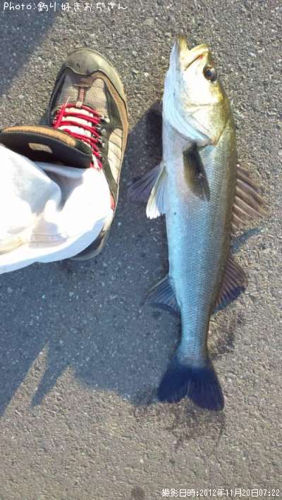 �����Х�