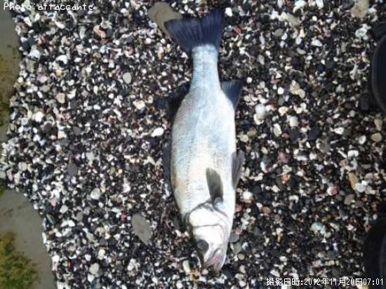 �ҥ饹����