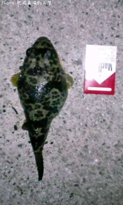 �ե�