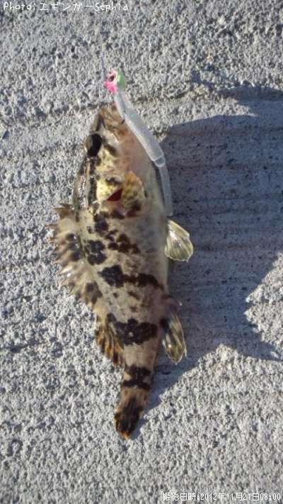 �����Υ���Х�