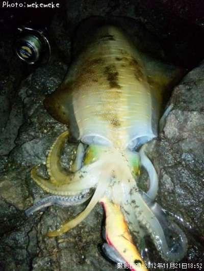 �����ꥤ��