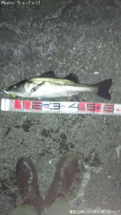 �����Х�