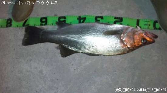 �ҥ饹����