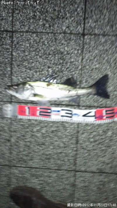 �����Х�