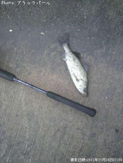 �����Х�