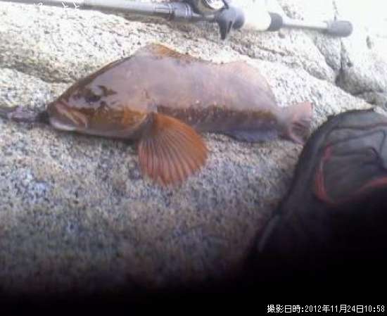 �����ʥ�