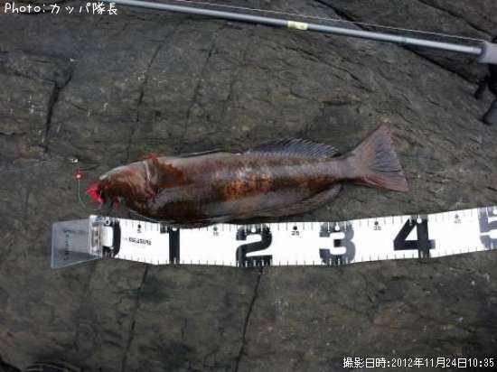 �����ʥ�