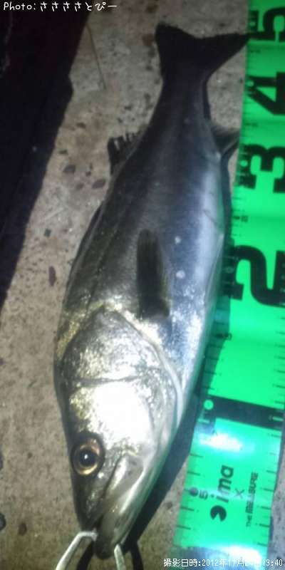 �����Х�