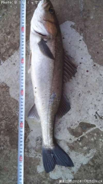 �����Х�