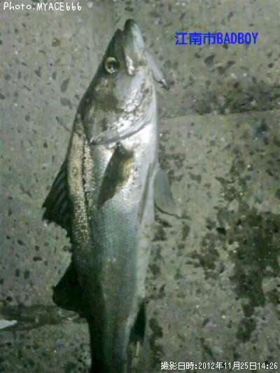 �����Х�