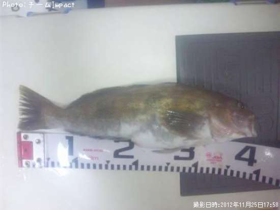 �����ʥ�