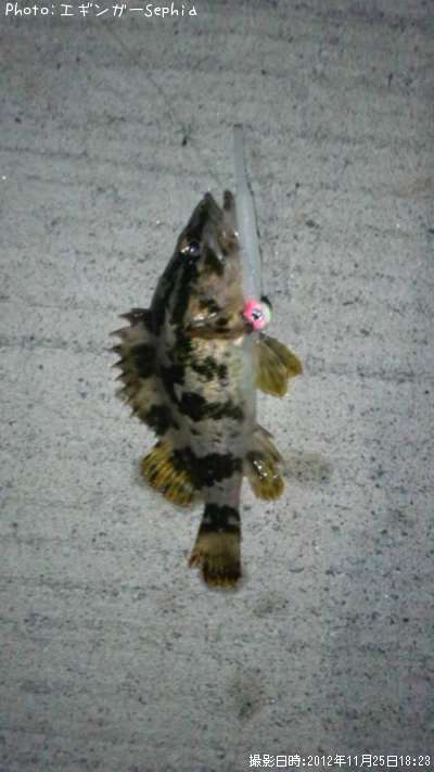 �����Υ���Х�