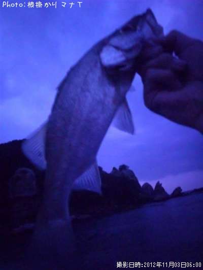 �ҥ饹����