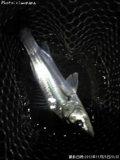 �����Х�