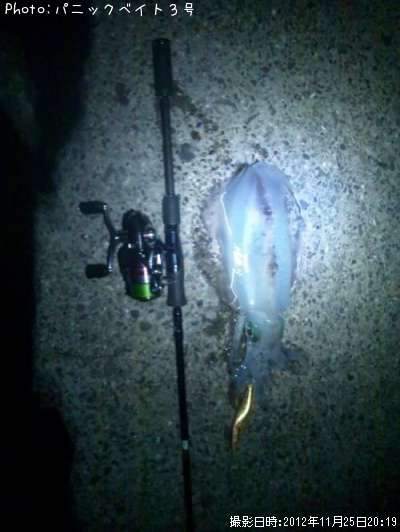 �����ꥤ��