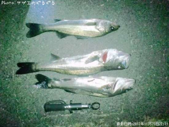 �����Х�