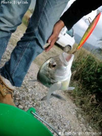 �����˥󥢥�