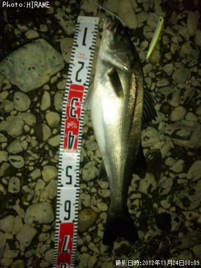 �����Х�