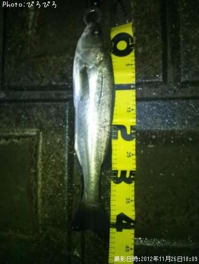 �����Х�