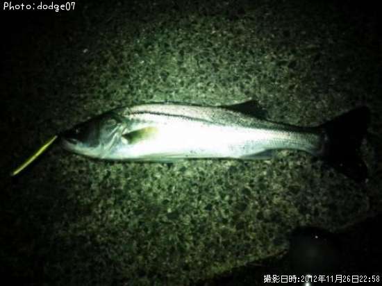 �����Х�