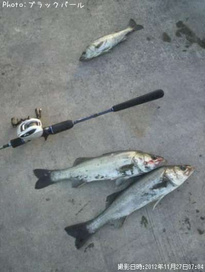 �����Х�