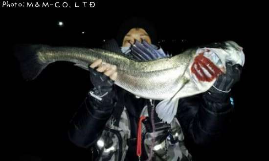 �����Х�