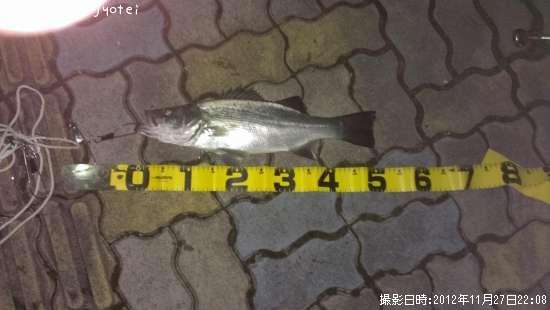 �ҥ饹����